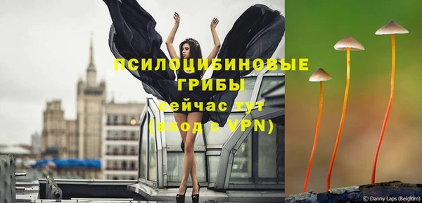 бошки Горняк