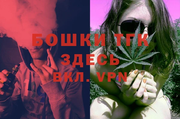 бошки Горняк