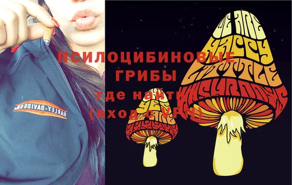 кокс Горно-Алтайск