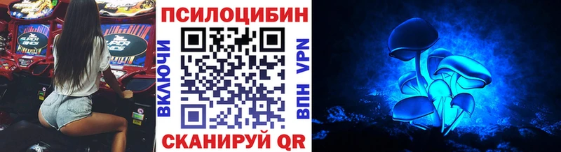 Псилоцибиновые грибы Psilocybe  блэк спрут как войти  Белоозёрский 